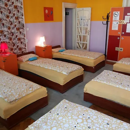 Hostel White Rabbit